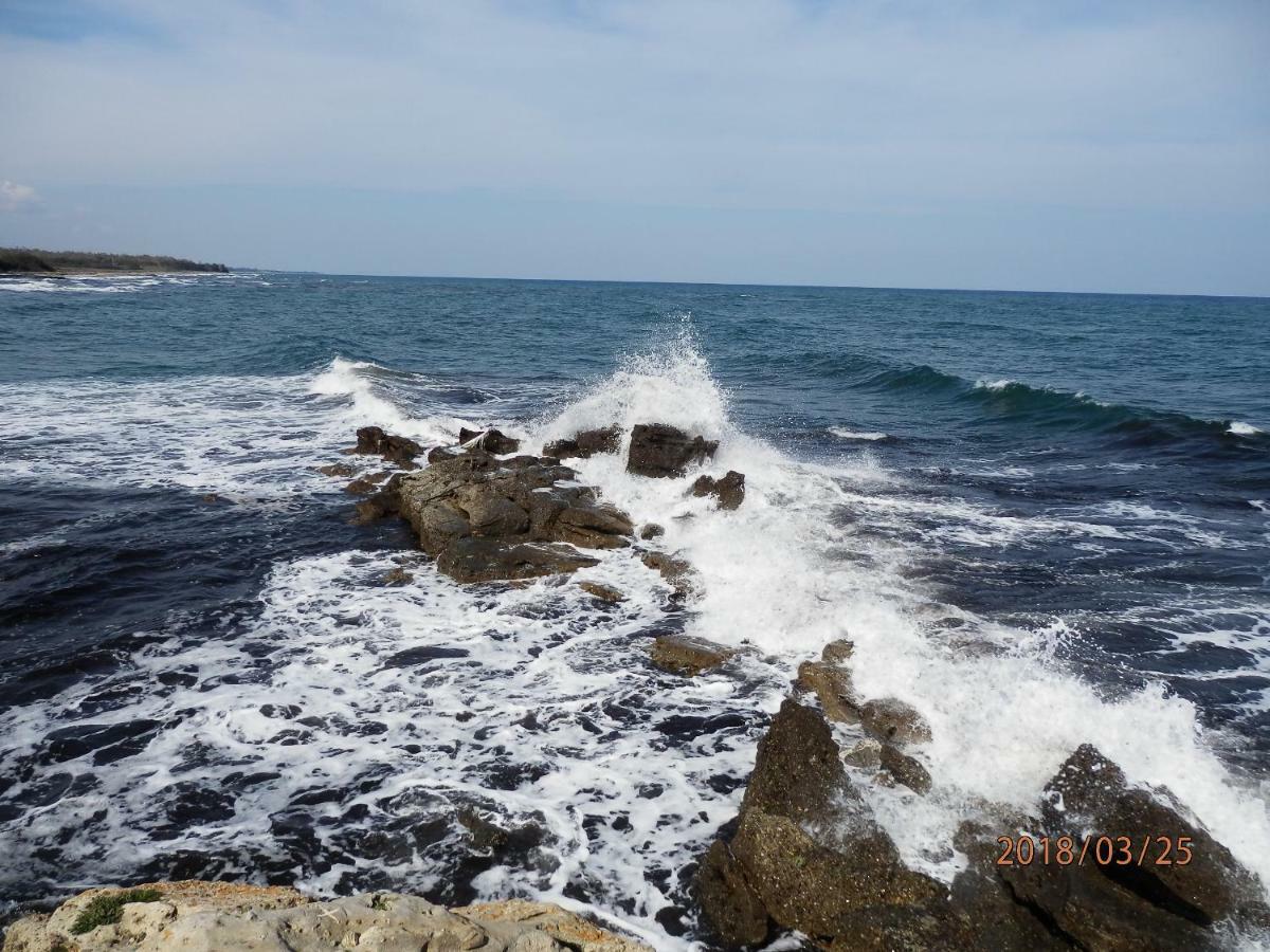 Location Vacances Linguizzetta Ngoại thất bức ảnh
